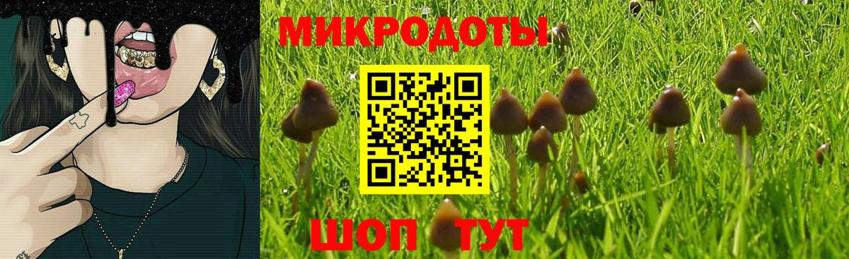 Псилоцибиновые грибы Psilocybine cubensis Бийск